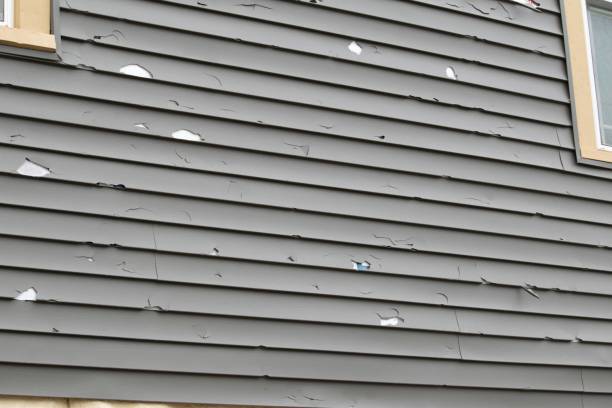 Best Hoarding Cleanup  in Macdonnell Heights, NY