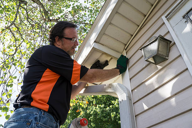 Best Shed Removal  in Macdonnell Heights, NY